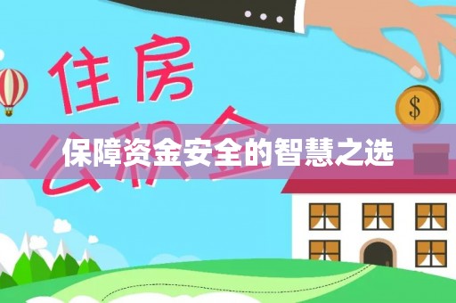 金湖保障资金安全的智慧之选