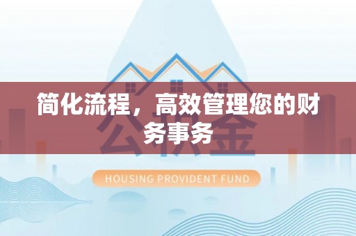 金湖简化流程，高效管理您的财务事务