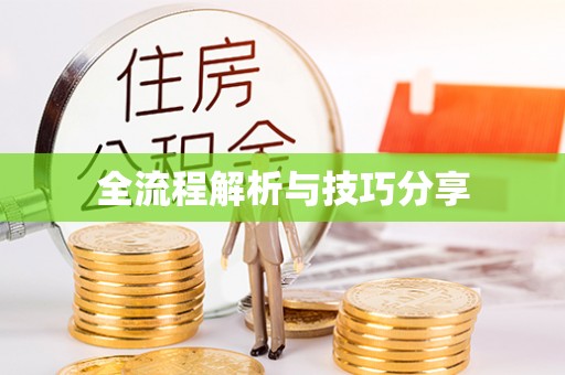 金湖全流程解析与技巧分享